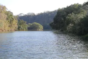 Tour image of Mangrove Kayak