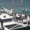 Image of Snorkeling