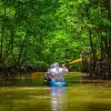 Image of Kayaking Tours