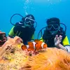 Image of Surfing Lessons
