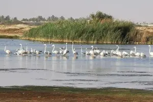 Tour image of Ultimate Tour - Salalah city highlights