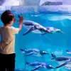 Image of Aquariums