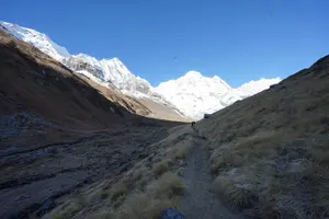 Tour image of Private 7 - Day Annapurna Base Camp Trekking