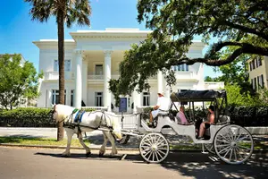Tour image of Private Daytime Horse-Drawn Carriage Tour of Charleston