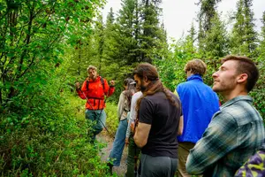 Tour image of 3 Hour Naturalist Walking Tour in Denali National Park