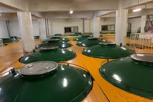 Tour image of Takayama's Oldest Sake Brewery Tour in Gifu