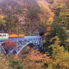 Image of Nature Walks