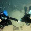 Image of Scuba Diving
