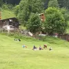 Image of Hiking Tours