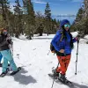 Image of Winter Sports