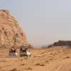 Image of Nature Walks