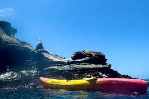 Tour image of Snorkeling Adventure in La Jolla