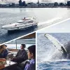 Image of Sailing