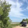 Image of Safaris