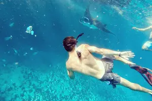 Tour image of Snorkeling with Manta Rays from Maafushi