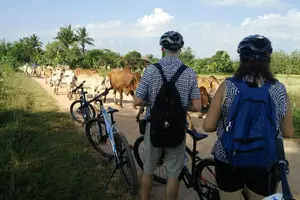 Tour image of Half Day Cycling Tour to the White temple