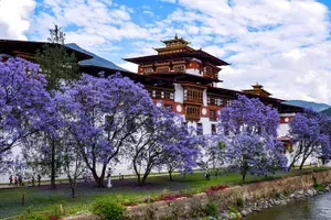 Tour image of 6 days Bhutan Tour - Punakha