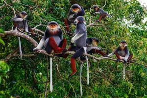 Tour image of Hue to Dn/Hoi An: Hai Van Pass, beaches & Mt Monkey or vice versa