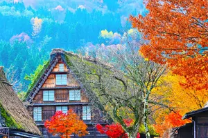 Tour image of Shirakawa-go and Hida-Takayama Private Day Trip from Nagoya