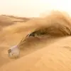 Image of Hummer Tours