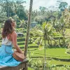 Image of Plantation Tours