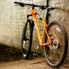 Image of Bike Rentals