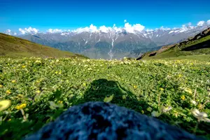 Image of India