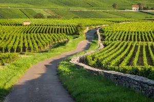 Tour image of Burgundy Villages and Wine Tour from Dijon