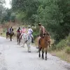 Image of Pack Animal Tours