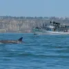 Image of Extreme Sports