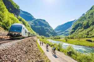 Tour image of Guided tour - Viking Village, Nærøyfjord Cruise and Flåm Railway