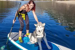 Tour image of Half Day Stand-up Paddle Boarding (SUP) trip on Lake Predil
