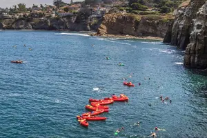 Tour image of 1.5 Hour Walking Tour from La Jolla in San Diego