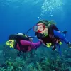 Image of Snorkeling