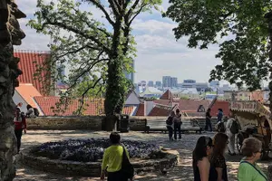 Tour image of Private Self-Guided Audio Walking Tour in Tallinn Old Town