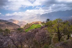 Tour image of 11 Days Tour Muscat and Salalah