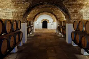 Tour image of Private Tour in the Douro with Family Vineyards and Viewpoint