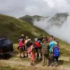 Image of Safaris