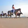 Image of Pack Animal Tours