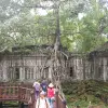 Image of Historical Tours