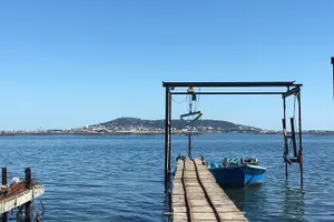 Tour image of Private Half-Day Languedoc Wine and Oyster Tour from Sète