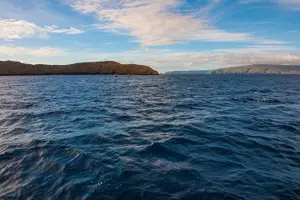 Tour image of Molokini and Turtle Arches Snorkeling Trip from Ma'alaea Harbor