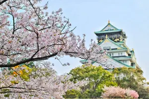 Tour image of Osaka 4hr Private Tour with Government-Licensed Guide