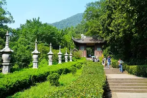 Tour image of Half-Day Hangzhou Tianzhu Buddhist Mountain Hiking Tour with Green Tea Village