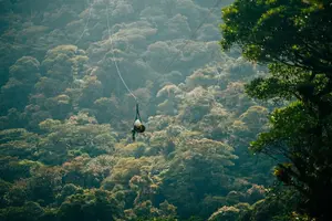 Tour image of Zipline and Hanging Bridges Combo Tour in Monteverde Cloud Forest