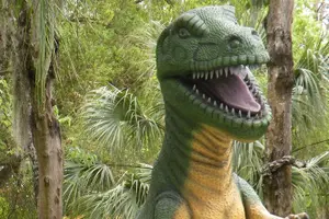 Tour image of Dinosaur World Glen Rose