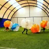 Image of Zorbing