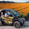 Image of Nature and Wildlife Tours
