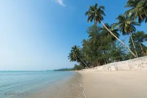 Tour image of Semi-Private Koh Samui Island for Cruise Ship Visitors aboard air-conditioned Minivan