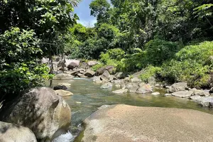 Tour image of Rainforest Zipline, Luquillo Beach, and Natural Springs Day Trip